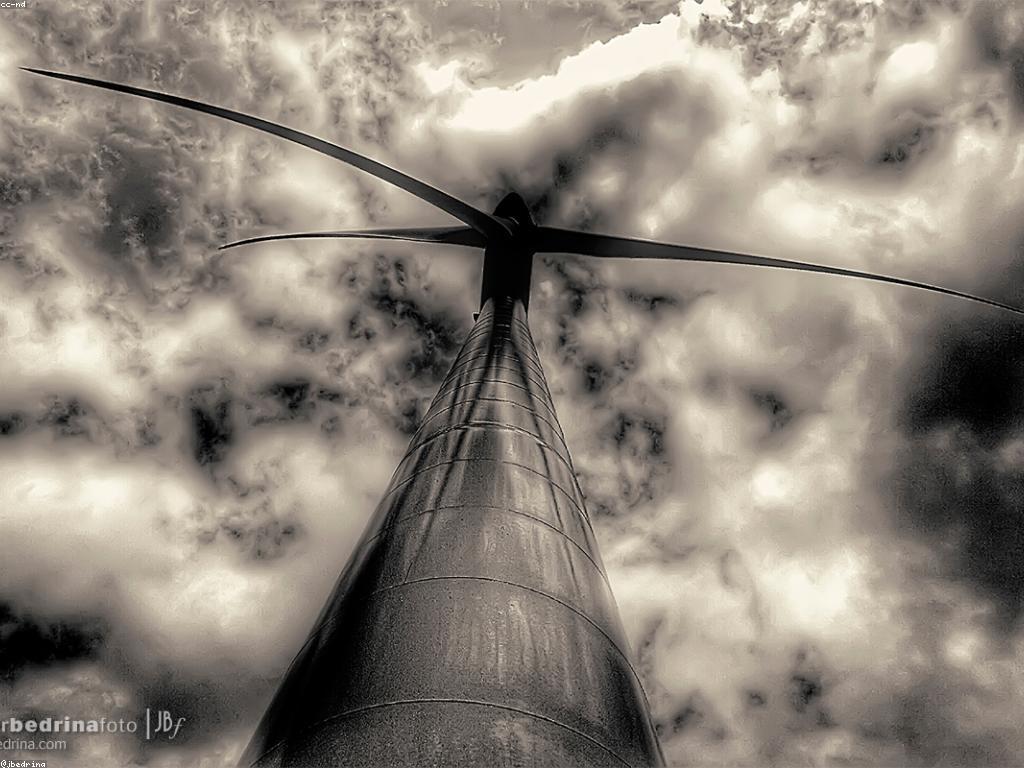 ការប្រកួតប្រជែងនៅក្នុងទីផ្សារ