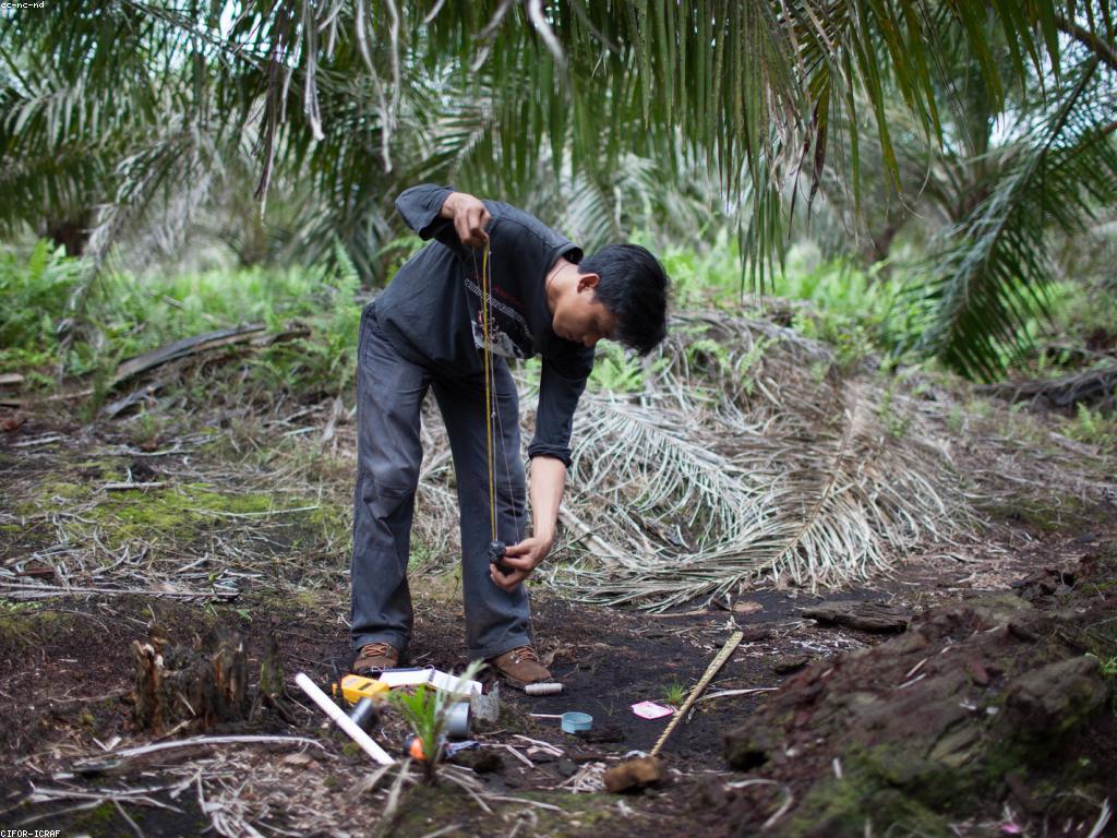 ការលើកទឹកចិត្តសម្រាប់ការលូតលាស់ផ្ទាល់ខ្លួន